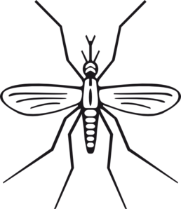 mosquito-clip-art